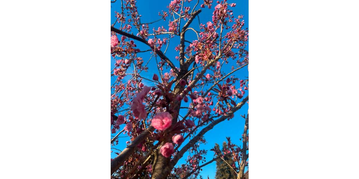 Wohnung, Mietwohnung, 52qm Wohnung, Wohnung ab 01.04.26 2.5 zimmer