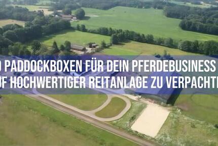 Stalltrakt und Wohnung auf Reitanlage in Schneverdingen zu verpachten zimmer