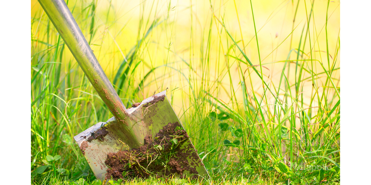 PROJEKTIERTES BAUGRUNDSTÜCK MIT BAUVORANFRAGE - BIS ZU 1.690 QM GESCHOSSFLÄCHE - DIREKT AN DER SÜDLICHEN BERLINER STADTGRENZE ! zimmer