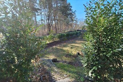 Wohnung Wittenberge - 5 Zimmer, 90 m&sup2;, 1.100&euro; | Angebot:25478790