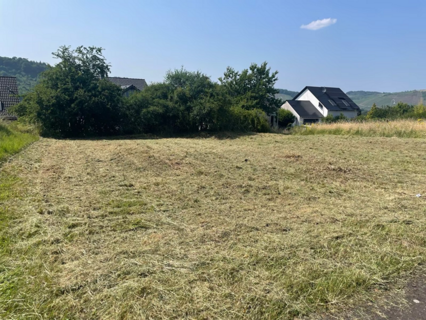 Grundstück zu verkaufen in Wiltingen 165.000 € 500 m²