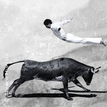 PULSE - A dialogue of instincts 05.04.2026 Dock 11