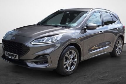 Ford Kuga 75.833 km 19.890 &euro; Lengerich 49525