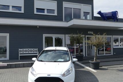 Ford Fiesta 168.000 km 7.900 &euro; Magdeburg 39108