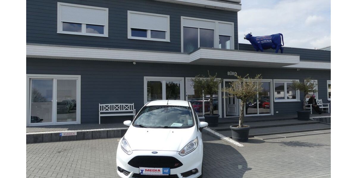 Ford Fiesta 168.000 km 7.900 &euro; Magdeburg 39108