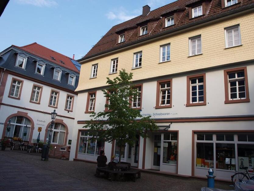 Schöne AltbauWohnung im Herzen Hirschhorns