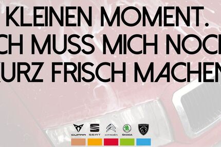 Cupra Formentor 30.665 km 27.700 &euro; Fulda 36043