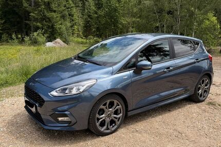 Ford Fiesta 67.000 km 10.399 &euro; Regen 94209