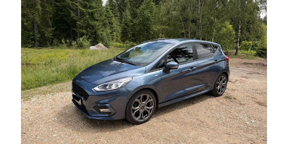 Ford Fiesta 67.000 km 10.399 &euro; Regen 94209