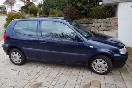 VW Polo