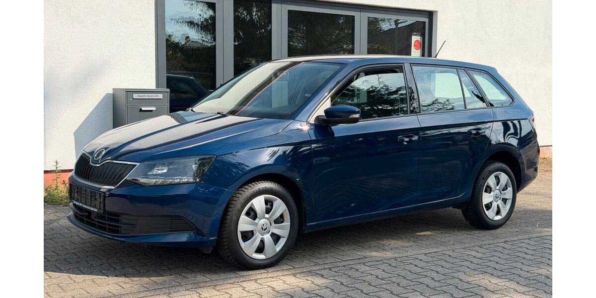 Skoda Fabia 176.000 km 5.999 &euro; Reilingen 68799