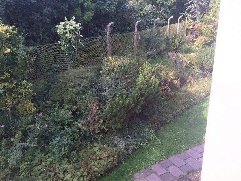 1-Zimmer Appartment, schön aufgeteilt -mit Einbauküche- zu vermieten 1 zimmer