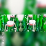 Bierbrauzeit - Braukurs