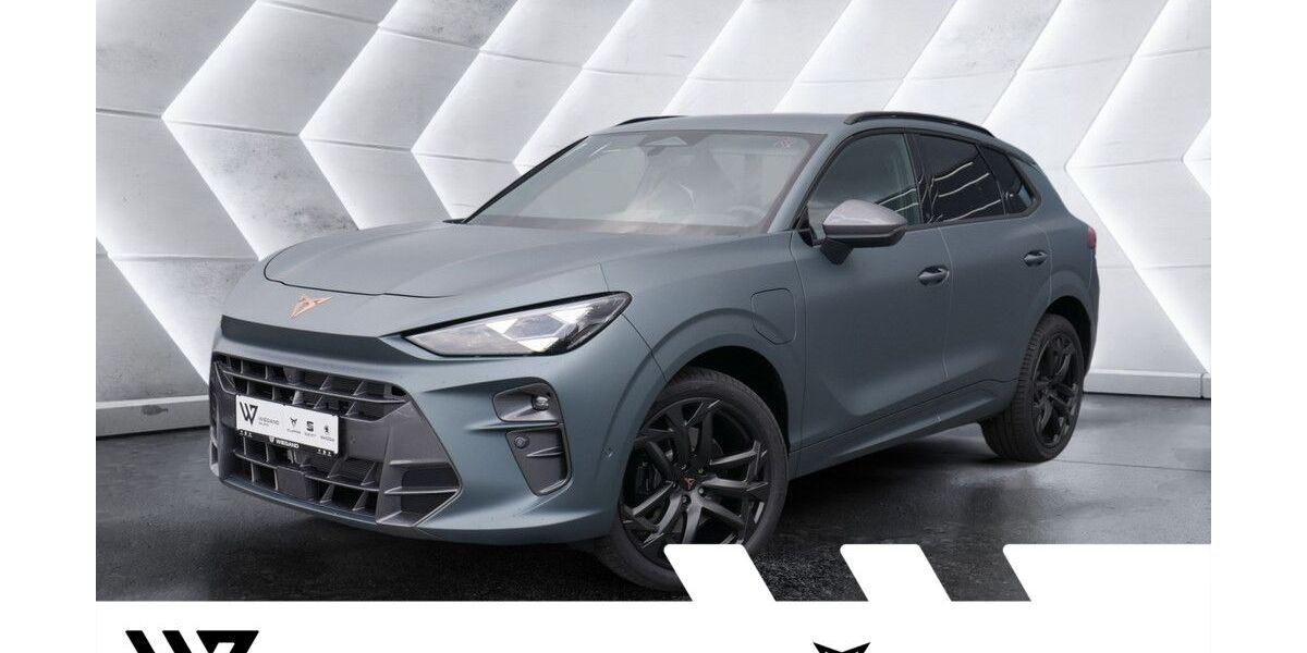 Cupra Terramar 17.500 km 47.629 &euro; Gelnhausen 63571