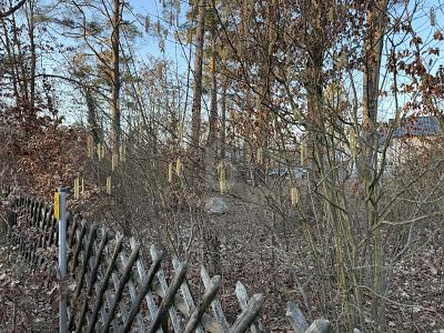 VERWIRKLICHEN SIE IHRE TRÄUME IN WANDLITZ - Grundstück Wandlitz | Angebot:26421091