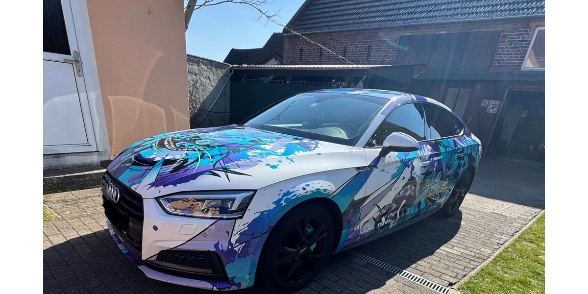 Audi A5 152.000 km 20.900 &euro; Spreenhagen 15528