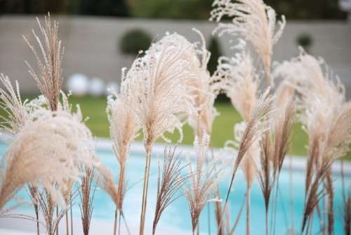 Einfamilienhaus Pirna - 5 Zimmer, 135 m&sup2;, 526.783&euro; | Angebot:26278660