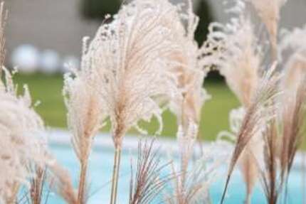 Haus Pirna - 5 Zimmer, 135 m&sup2;, 526.783&euro; | Angebot:26278660