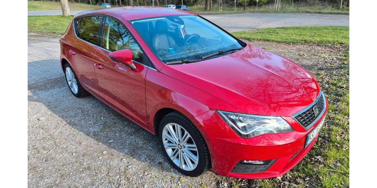 Seat Leon 96.000 km 14.000 &euro; Kassel 34134