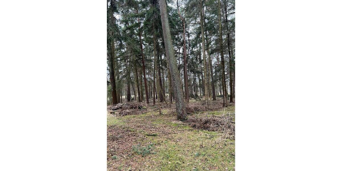 Grundstück Tostedt Todtglüsingen - 189.000&euro; | Angebot:26276462