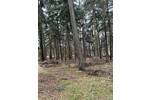 Grundstück Tostedt Todtglüsingen - 189.000&euro; | Angebot:26276462