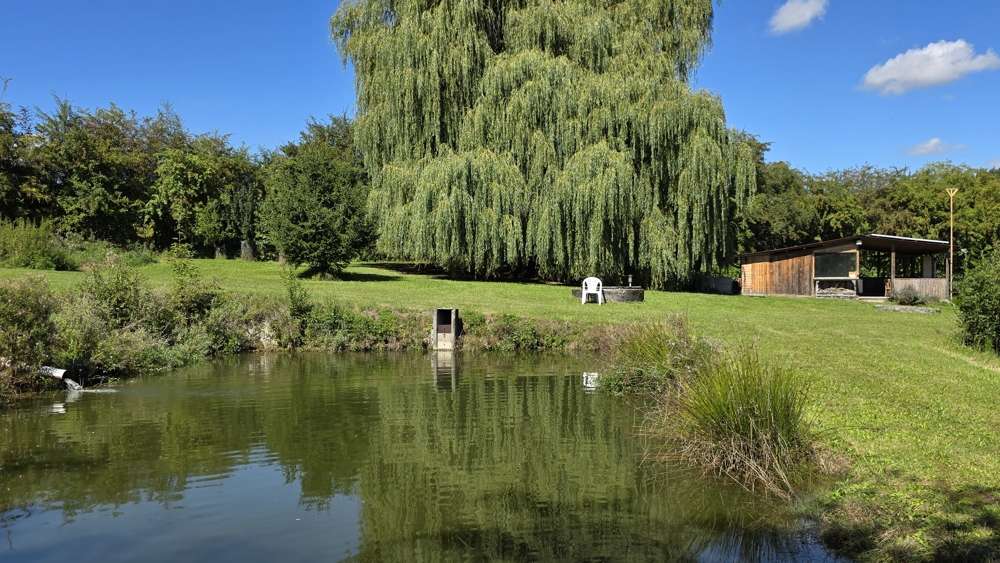 Grundstück Altdorf / Eugenbach Eugenbach - 269.000&euro; | Angebot:22619517