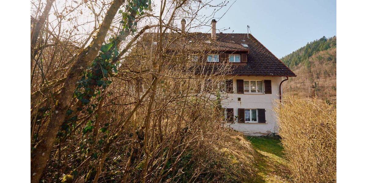 Mehrfamilienhaus, Wohnhaus Schramberg - 1 Zimmer, 333 m&sup2;, 248.500&euro; | Angebot:26188399