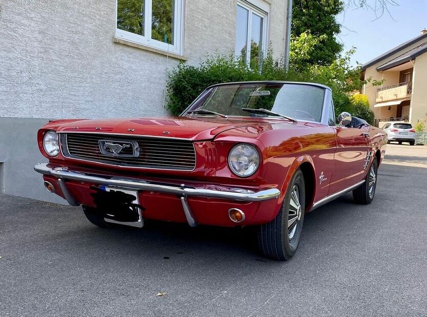 Mustang