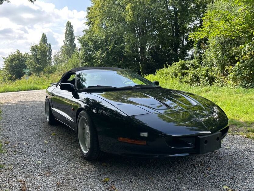 Firebird
