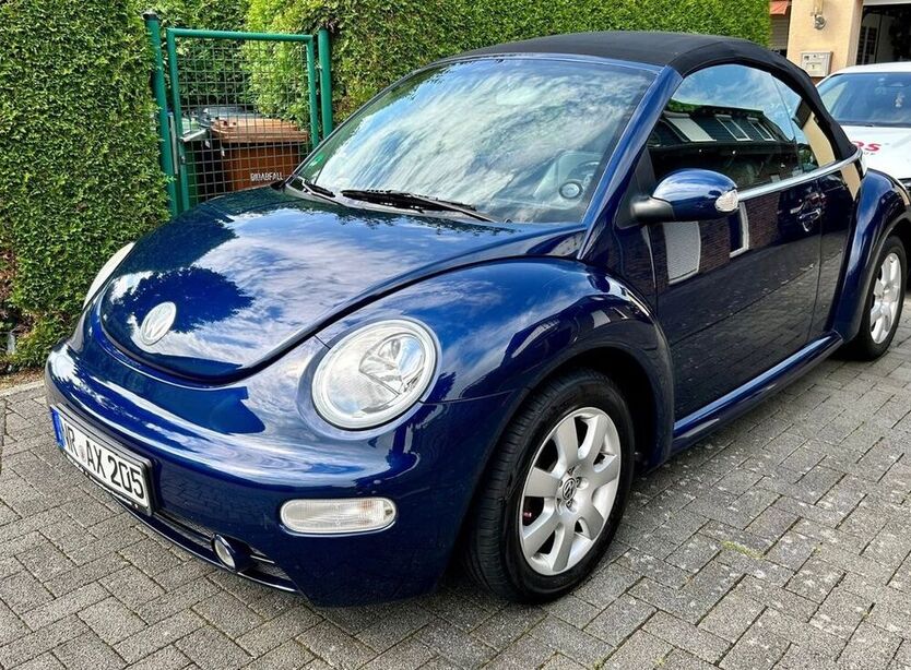 Beetle