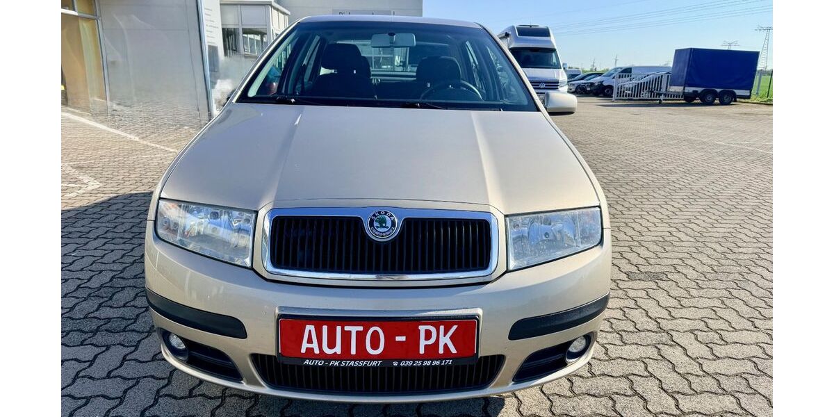 Skoda Fabia 255.368 km 2.990 &euro; Staßfurt 39418