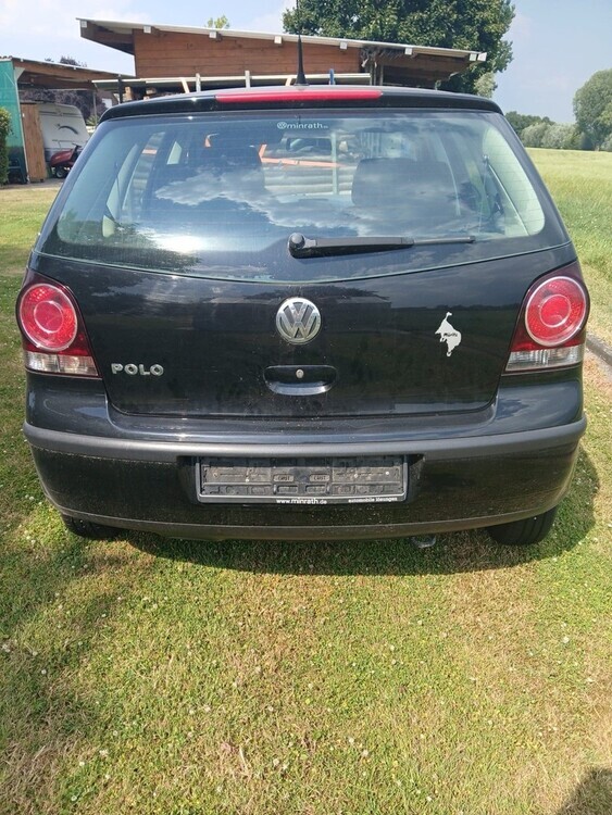 Polo