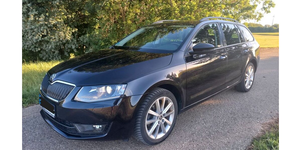 Skoda Octavia 208.813 km 8.800 &euro; Berghülen 89180
