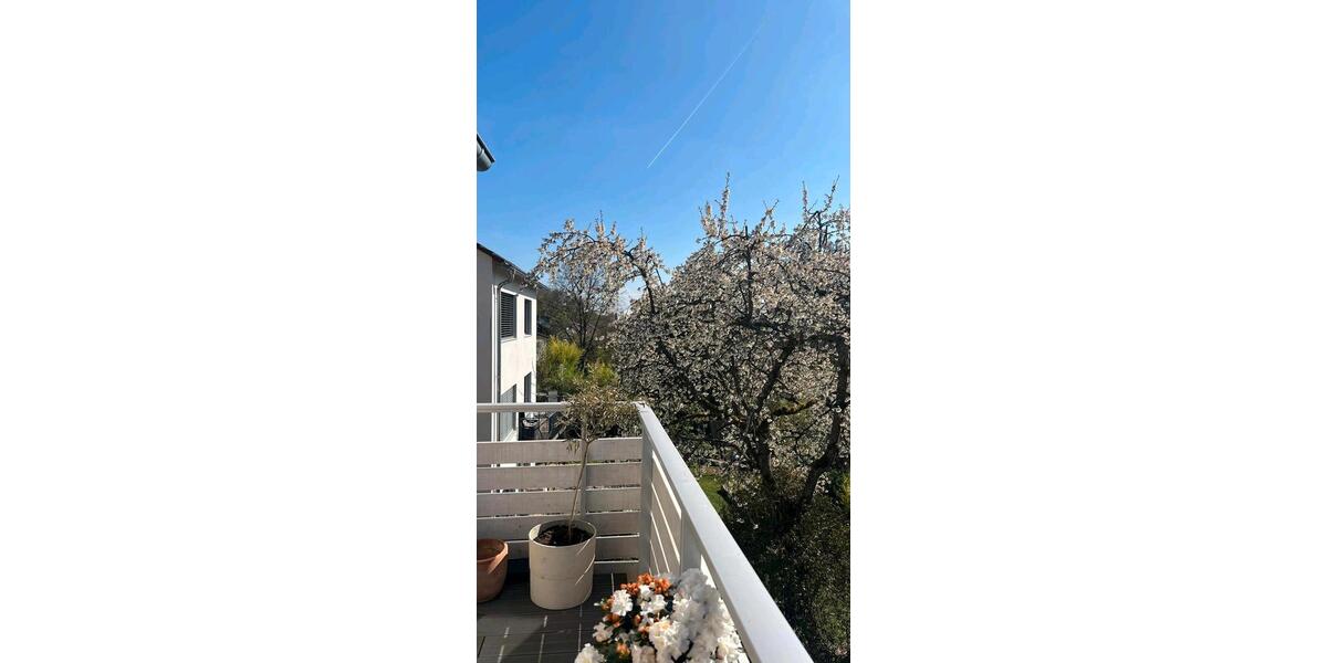 Dachgeschoßwohnung Wiesbaden Dotzheim - 4 Zimmer, 114 m&sup2;, 1.690&euro; | Angebot:24992228