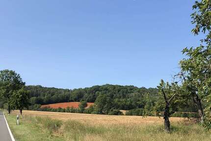 Wohnung zum Mieten in Laucha an der Unstrut 305 € 61 m²