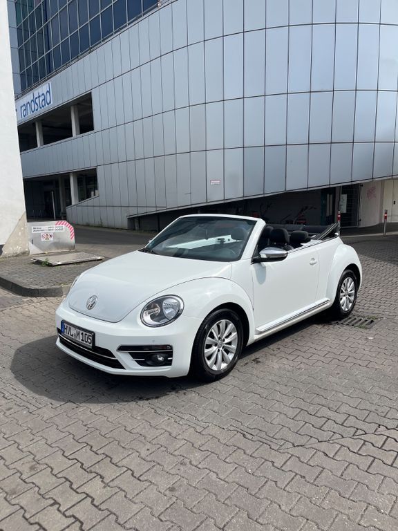 Beetle