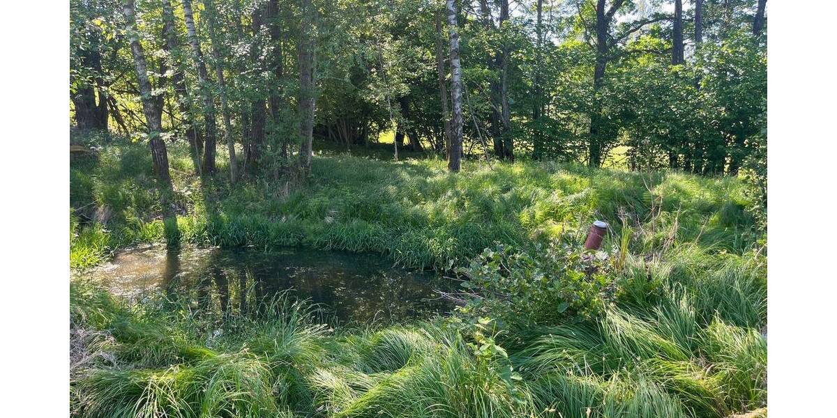 Grundstück Viechtach Wiesing - 109.000&euro; | Angebot:26806328