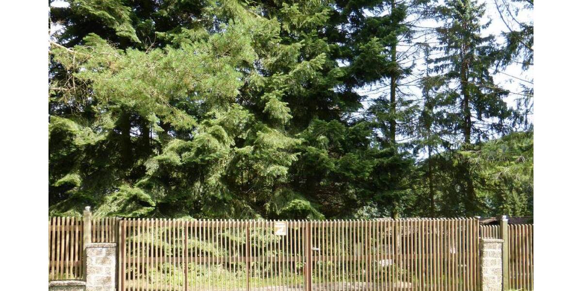 Mehrfamilienhaus, Wohnhaus Schlüchtern Ahlersbach - 1 Zimmer, 750 m&sup2;, 980.000&euro; | Angebot:25704425