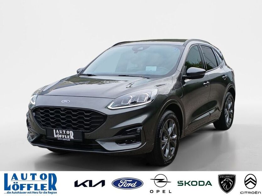 Kuga
