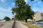 Etagenwohnung Torgau - 3 Zimmer, 59 m&sup2;, 430&euro; | Angebot:26134164