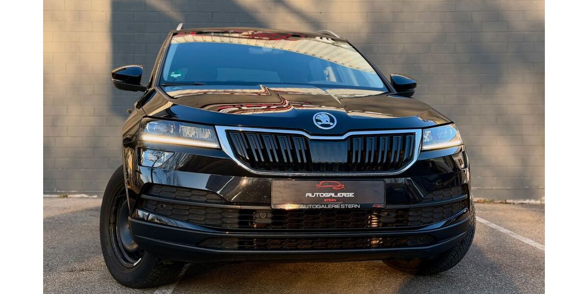 Skoda Karoq 113.100 km 18.499 &euro; Stuttgart 70435