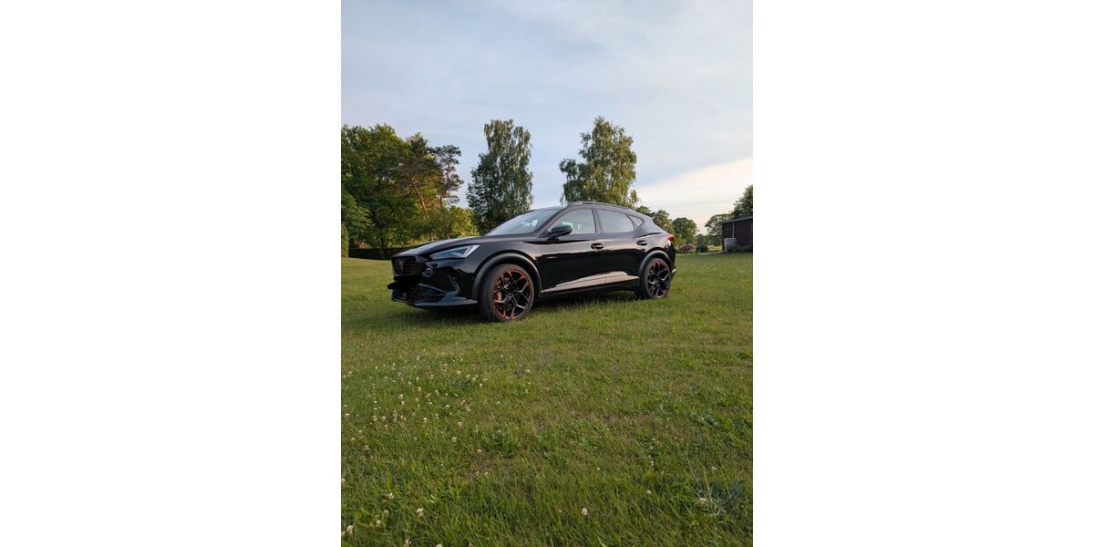 Cupra Formentor 36.000 km 37.300 &euro; Scheeßel 27383