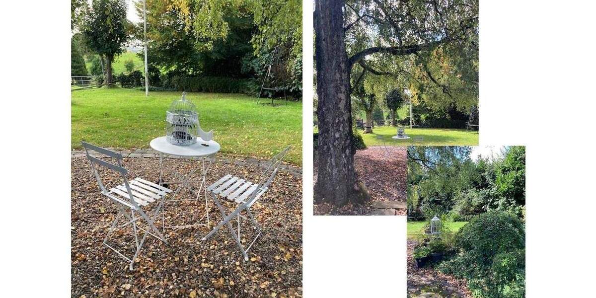 Bauernhaus, Landhaus Much Wellerscheid - 9 Zimmer, 222 m&sup2;, 517.000&euro; | Angebot:25406885