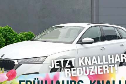 Skoda Octavia 125.734 km 17.690 &euro; Marktredwitz 95615