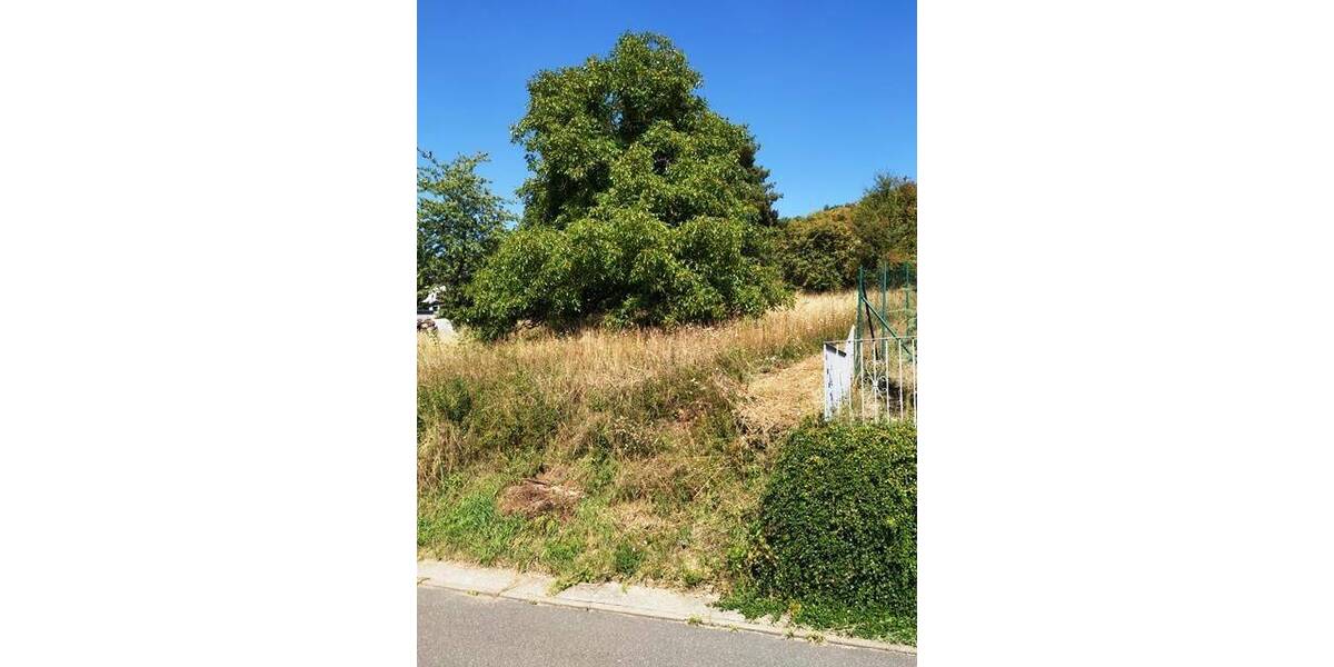 Grundstück Lauda-Königshofen Königshofen - 99.000&euro; | Angebot:25668906