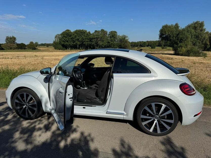 Beetle
