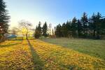 Mehrfamilienhaus, Wohnhaus Aland Pollitz - 8 Zimmer, 227 m&sup2;, 115.000&euro; | Angebot:26686866