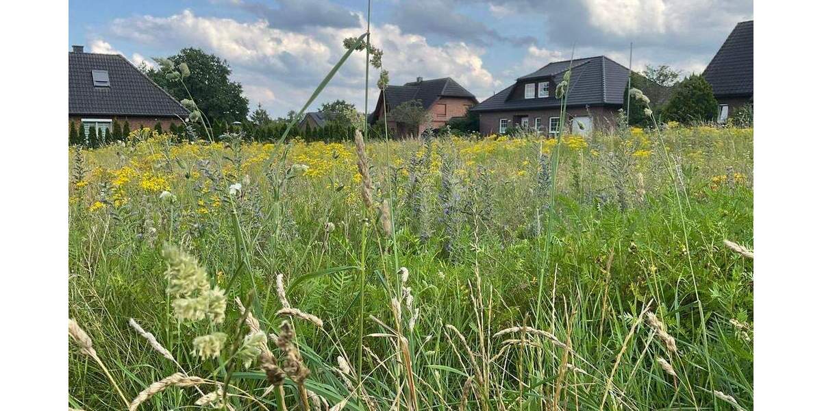 Grundstück Soltendieck - 75.000&euro; | Angebot:25670762