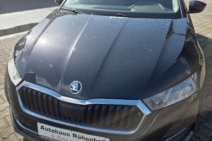 Skoda Octavia 240.000 km 12.400 &euro; Versmold 33775