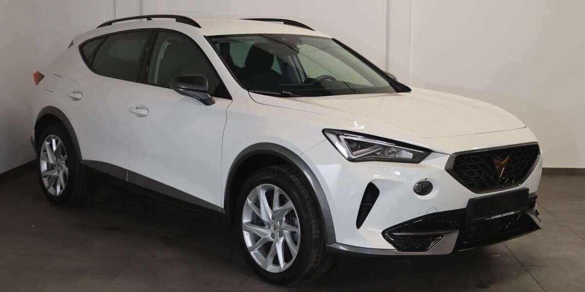Cupra Formentor 74.300 km 19.900 &euro; Bebra 36179